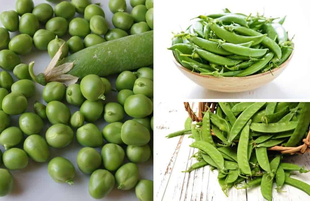3 types of peas beans different