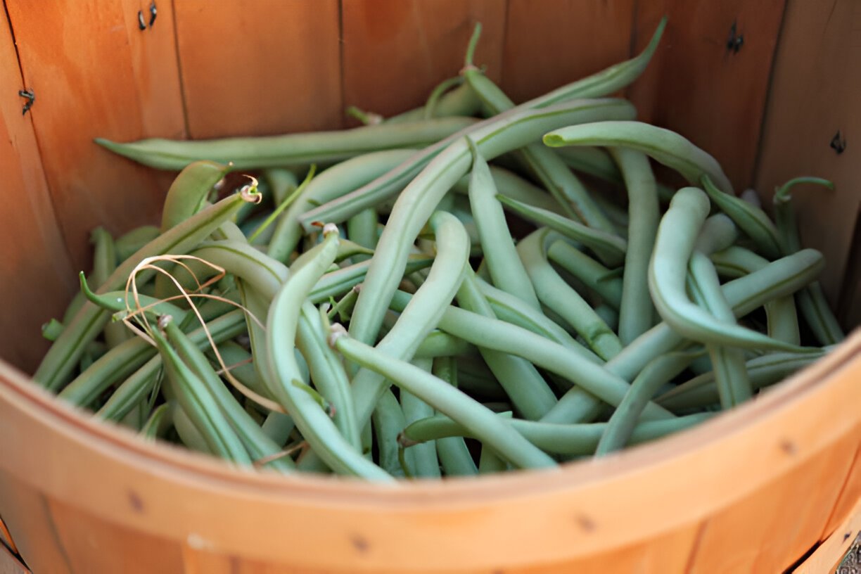 Bushel of Green Beans Cost?