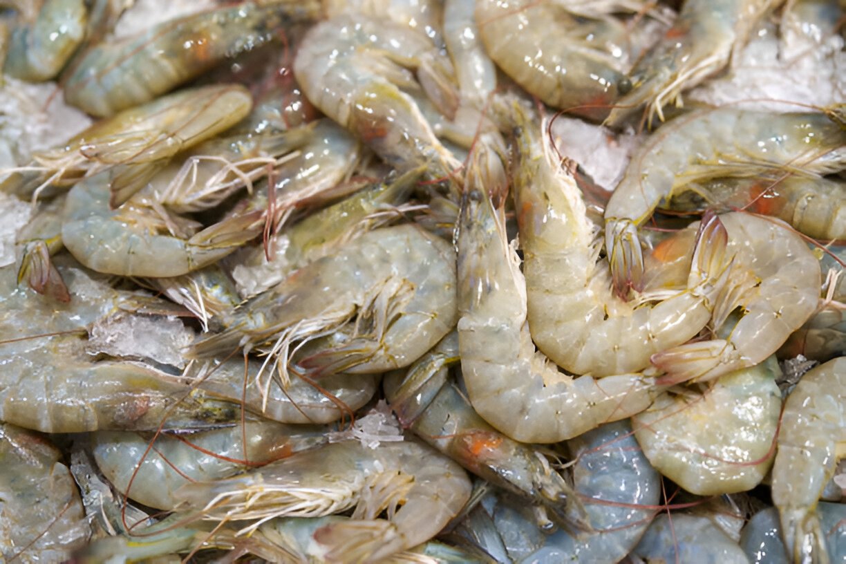 fresh shrimp at market