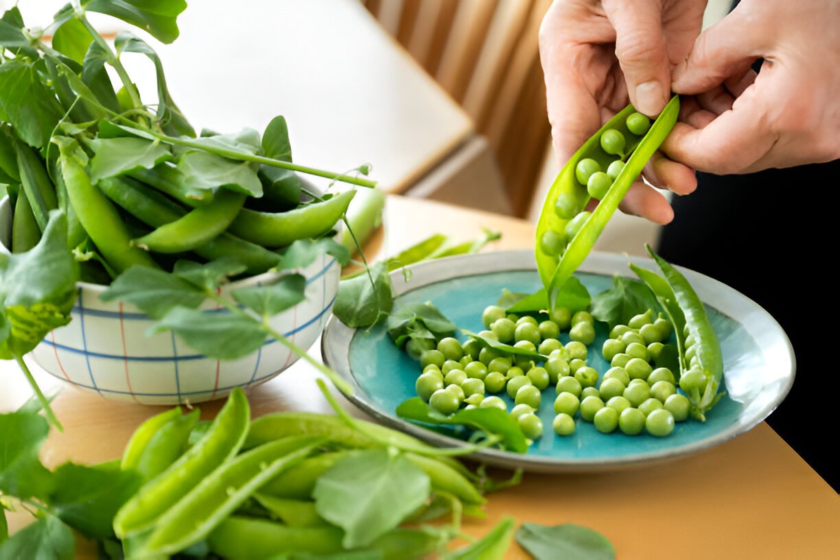 pea pods being opened and-peas taken out