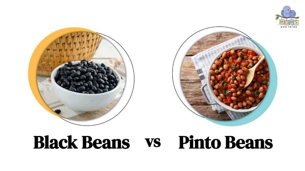 Black vs. Pinto Beans Differences