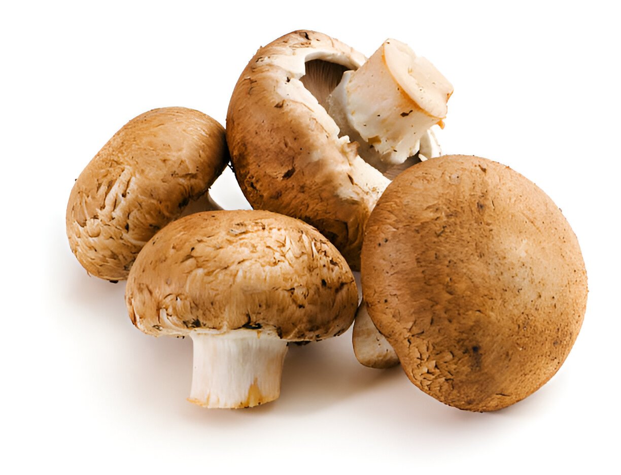 baby portabello mushrooms fresh raw vegetable