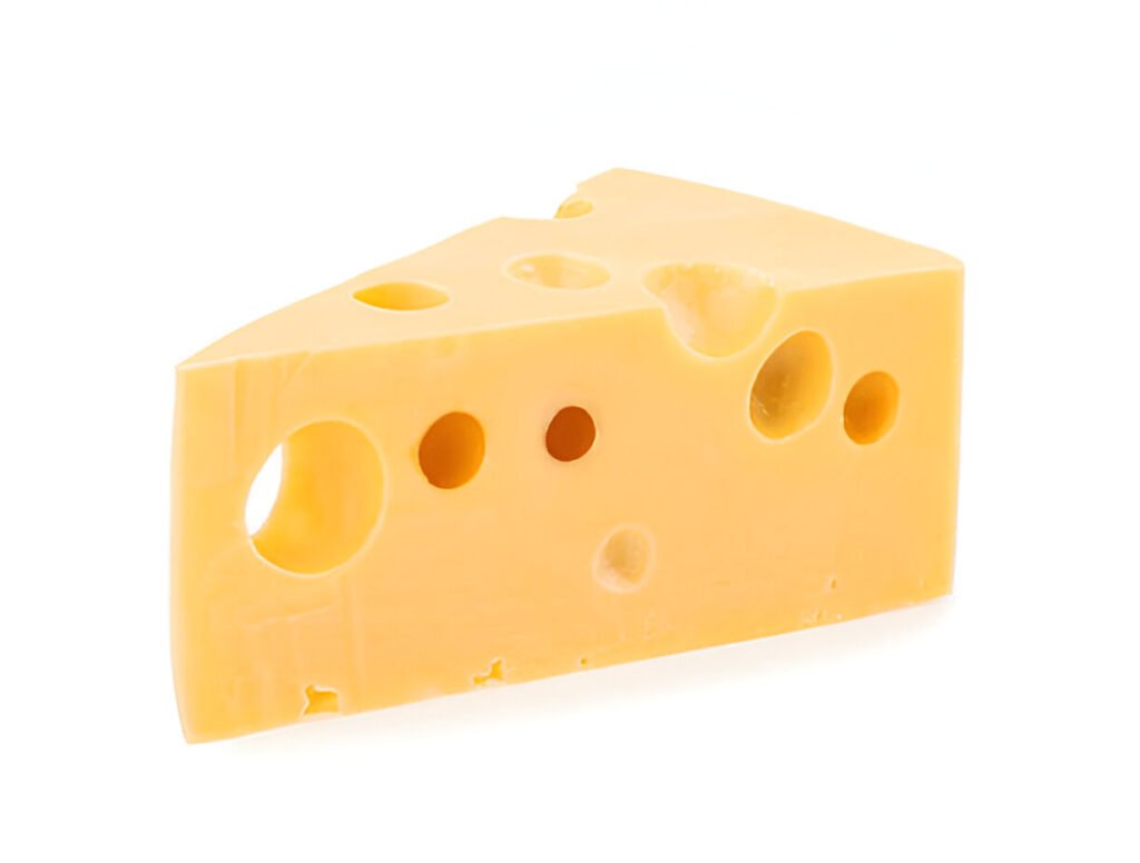 piece of swiss cheese