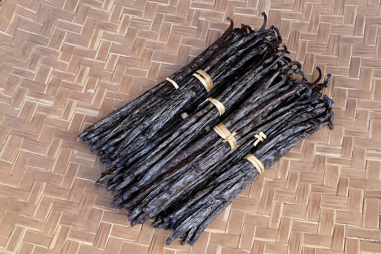 top quality vanilla pods