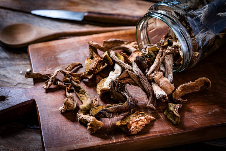 dried mushrooms