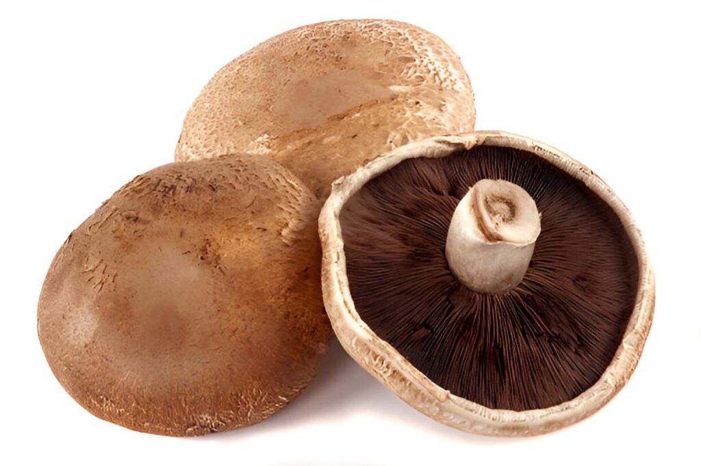 mushroom portobello